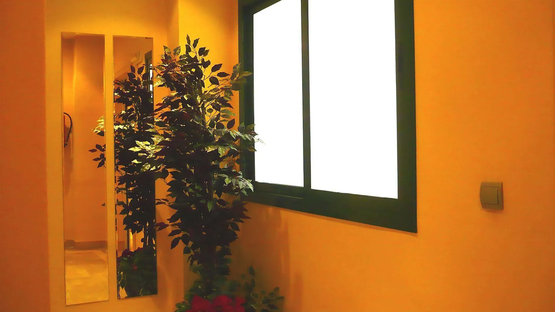 Apartamentos Suites Oficentro Málaga
